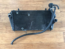 Aprilia Dorsoduro Shiver 750 900 radiator 2007-2020