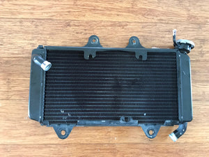 Husqvarna Svartpilen Vitpilen 401 radiator 2020-2023