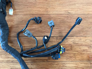 KTM 790 Duke main harness 2018-2021