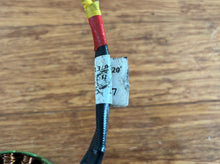 KTM 250 390 Duke RC ADV stator 2020-2021